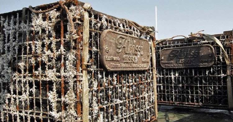 Foto bodega submarina Bodegas y Viñedos Raúl Pérez Sketch en Ría Arousa Pontevedra