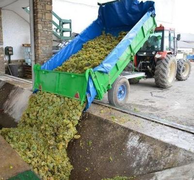 Los vinos del Bierzo a Tope