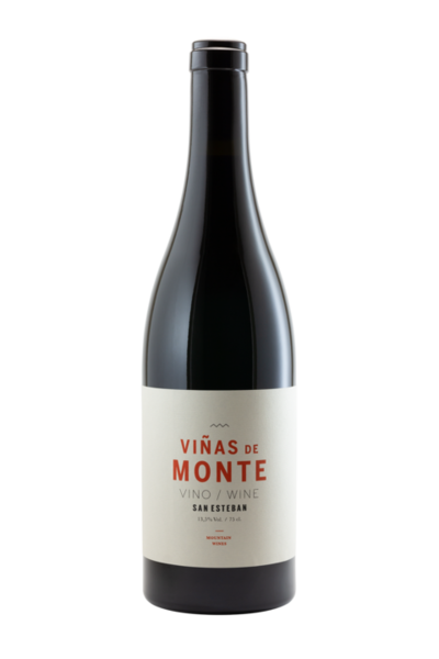 TINTO VIÑAS DE MONTE 2021