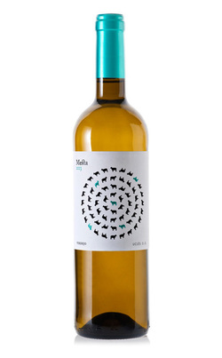 Bº MESTA 2024 ECO
