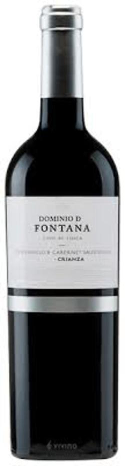 Tº DOMINIO DE FONTANA CRIANZA 2021