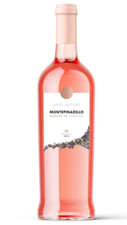 Rº MONTE PINADILLO 2023