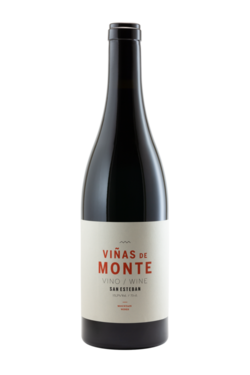 TINTO VIÑAS DE MONTE 2021